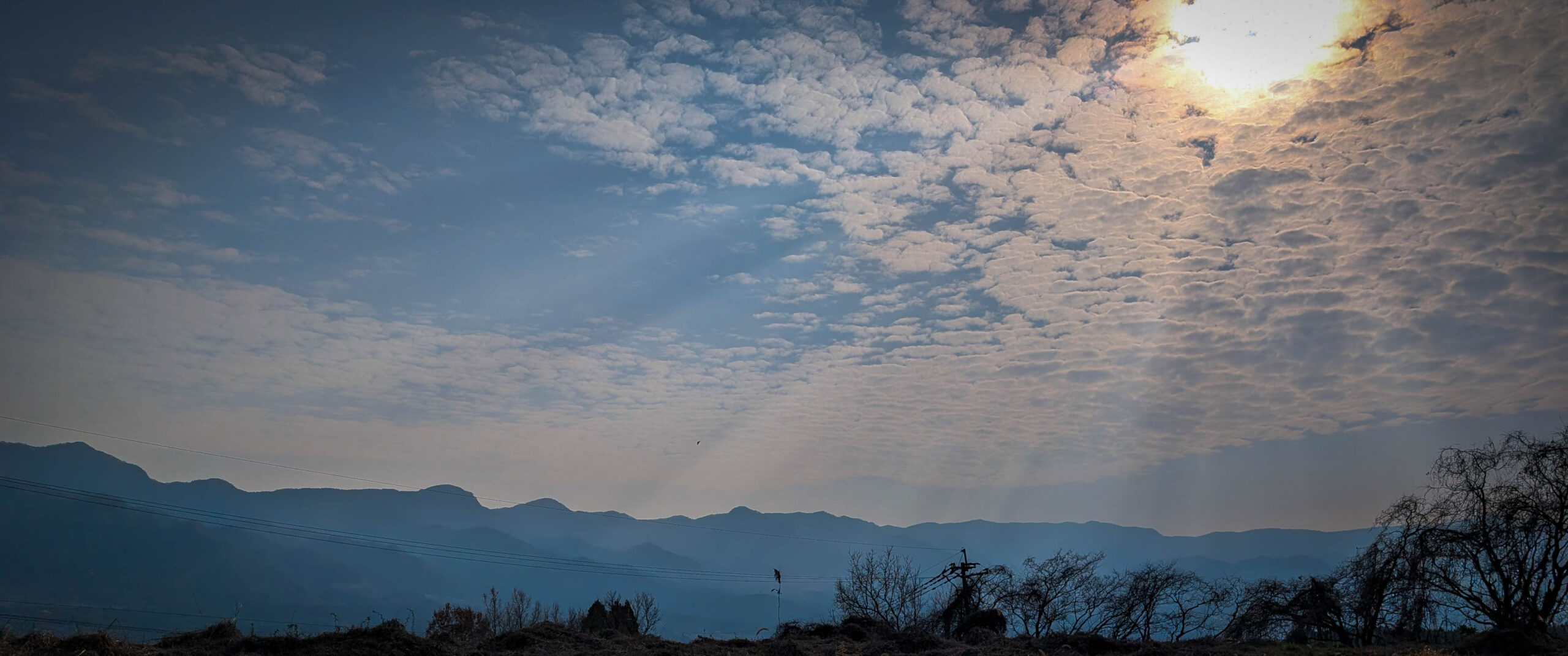 PXL_20260316_070806857